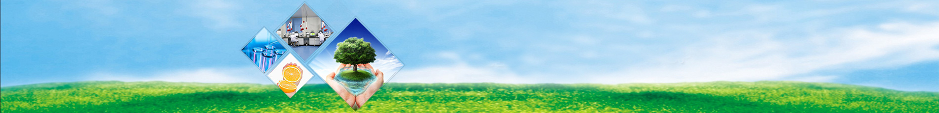 Banner001