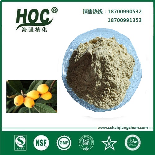 枇杷叶提取科罗索酸1%-98%