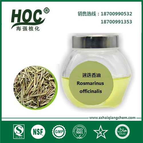 迷迭香提取迷迭香精油