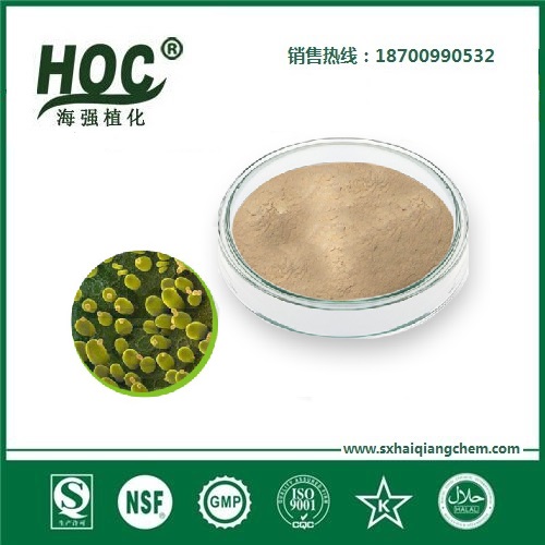 破壁酵母抽提物 Yeast extract