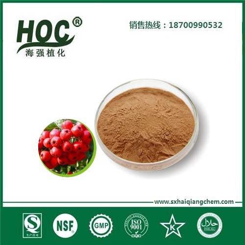 山楂粉 Hawthorn powder