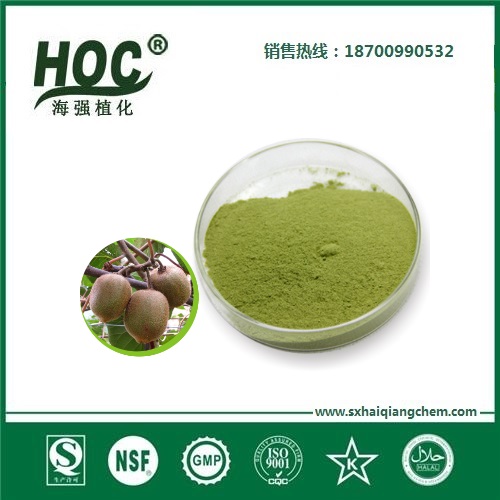猕猴桃粉 Kiwi fruit powder