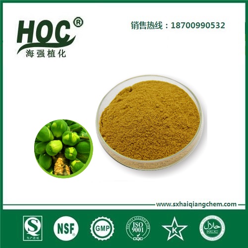 木瓜粉 Papaya powder