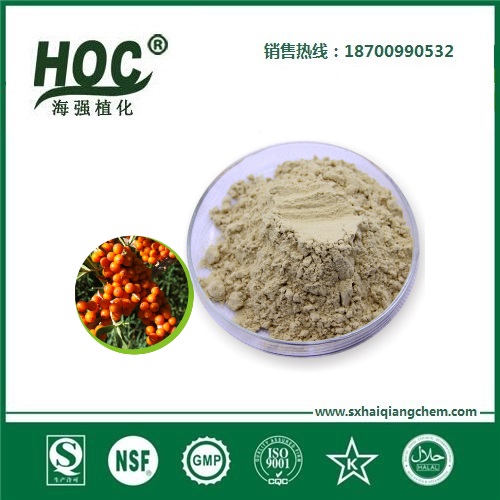 沙棘粉 Sea buckthorn powder