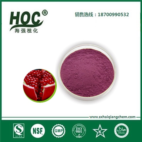 蓝莓粉 Blueberry powder