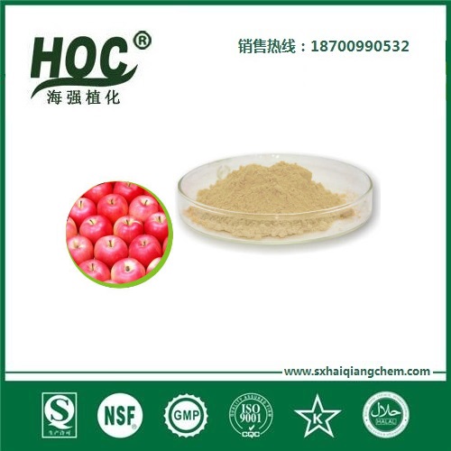 苹果粉 Apple powder