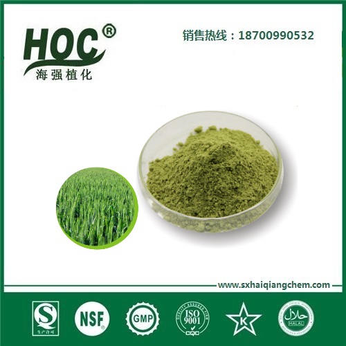 大麦苗粉 Barley seedling powder