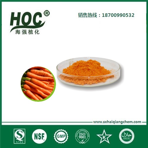 胡萝卜粉 Carrot powder