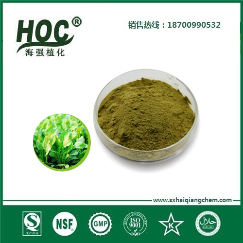 菠菜粉 Spinach powder