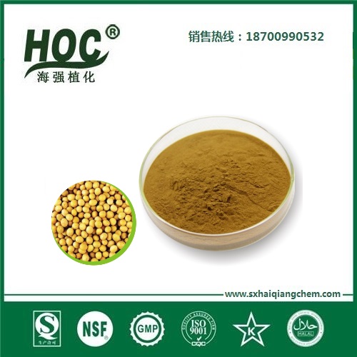 纳豆粉 Natto powder