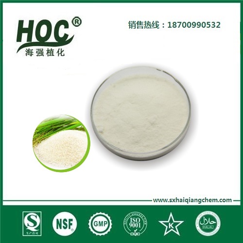大米蛋白 Rice protein