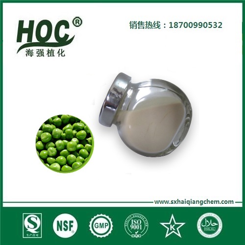 豌豆蛋白 pea protein