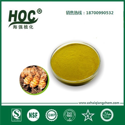 姜黄素 Turmeric powder
