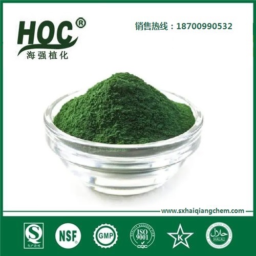 裸藻粉 Euglena powder