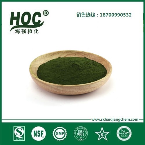 蛋白核小球藻粉 Chlorella powder