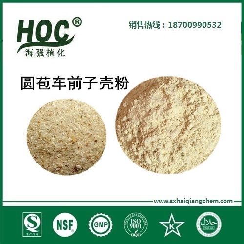 圆苞车前子壳粉 Psyllium Husk Powder