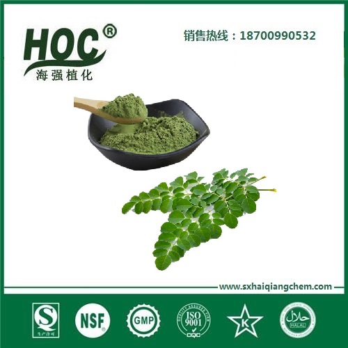 辣木叶粉 horseradishtreeleaves
