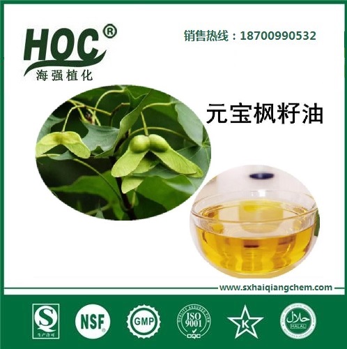 元宝枫籽油 Maple seed oil