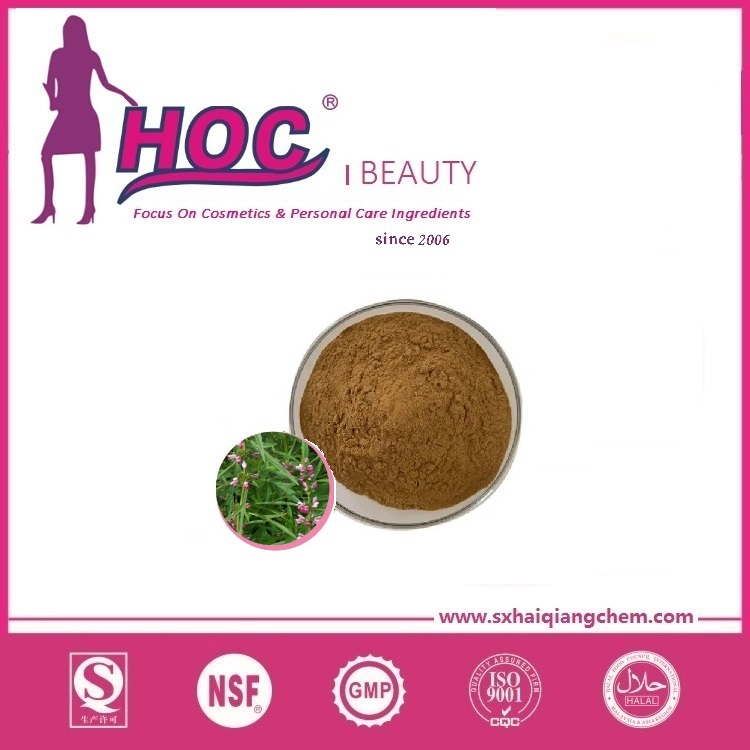 益母草美白因子 Motherwort Herb Extract